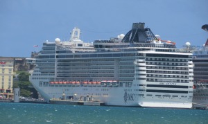 msc-divina