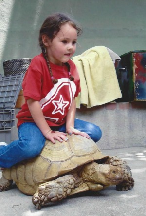 Picture of a child riding a tortoise at a children's interactive exhibit. 